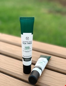 کرم مرطوب کننده و آبرسان مدل تی تری بادی شاپ