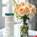 AXIS-Y PHA Resurfacing Glow Peel