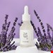 Beauty of Joseon Rice + Alpha Arbutin Brightening Serum
