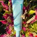 ++++numbuzin No.1 Clear Filter Sun Essence SPF 50+ PA