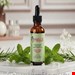 Mielle Organics Rosemary Mint  Hair OIL