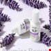 ANUA Nano Retinol + Niacin Renewing Serum